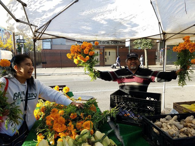 GrowNYC Will Host a New Farmers Market at Woodhull Hospital Starting July 10