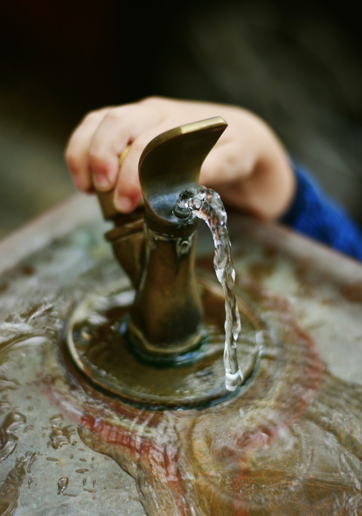Bushwick Public Schools Found High Levels of Lead in Drinking Water