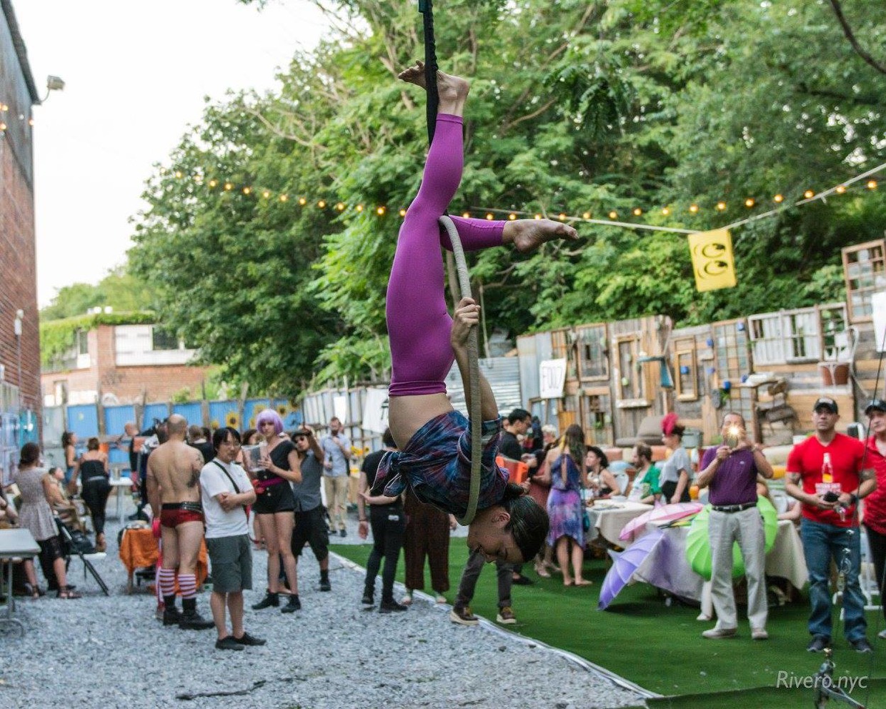 The Muse, Bushwick’s Own Circus, Needs Crowdfunding Support
