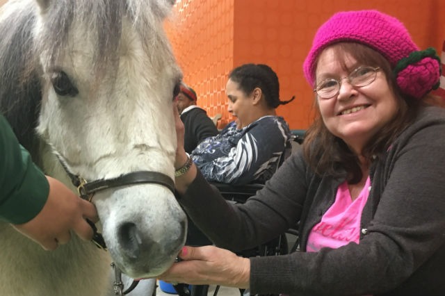 Photos: These Adorable Miniature Horses Warmed Everyone’s Hearts at a Bushwick Senior Center