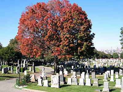 It’s October! So Let’s Visit Some Creepy Cemeteries Around Bushwick
