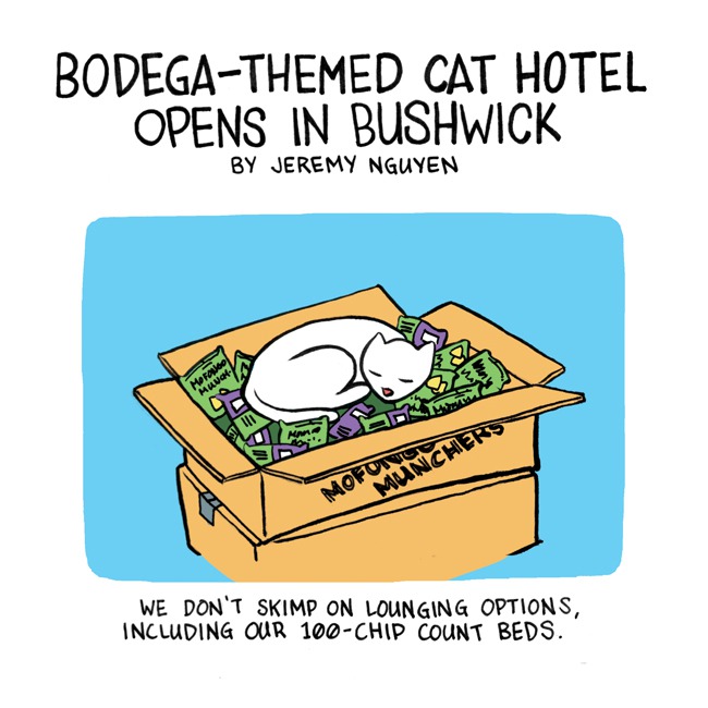 Bodega-Themed Cat Hotel Opens in Bushwick! [COMIC]