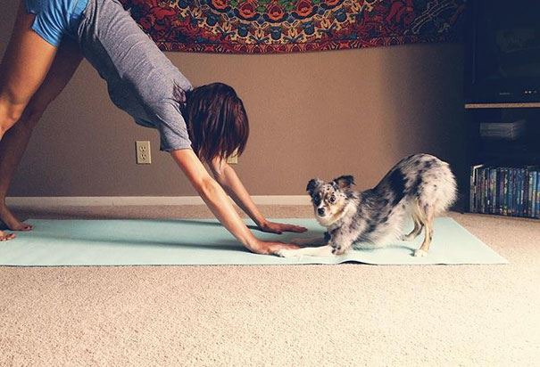 At Doga, You Don’t Have to Choose Between Yoga and Time With Your Pup