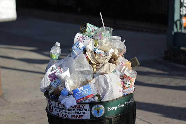 East Williamsburg’s Trash Smell May Improve Slightly Next Year