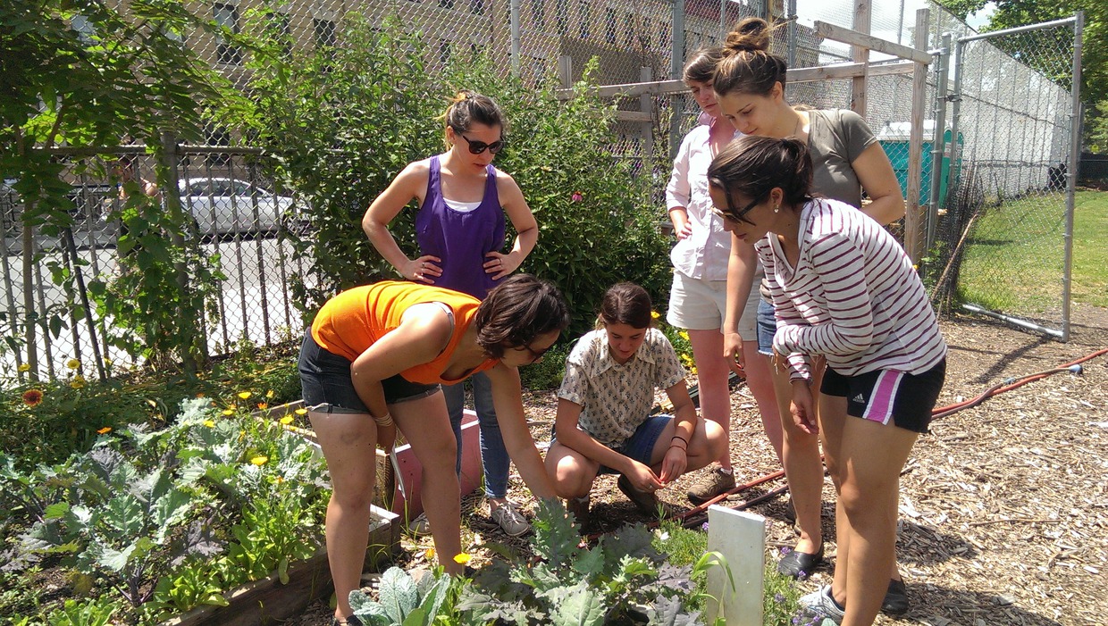 This Bushwick Program Could Turn You Into An Urban Farmer. Apply Now!