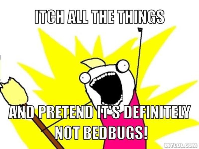 The Many Horrifying Stages of Bedbug Grief (And How to Get Through Them)