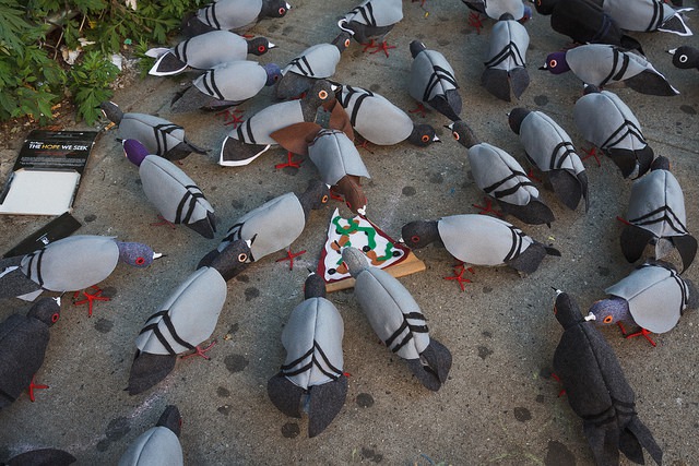 Tina Trachtenburg’s BOS #Flashflock Exhibit Made Me Not Hate Pigeons So Much