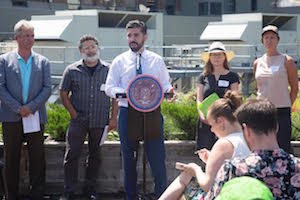 Council Member Espinal Wants Mandatory Green Roofs on New Buildings