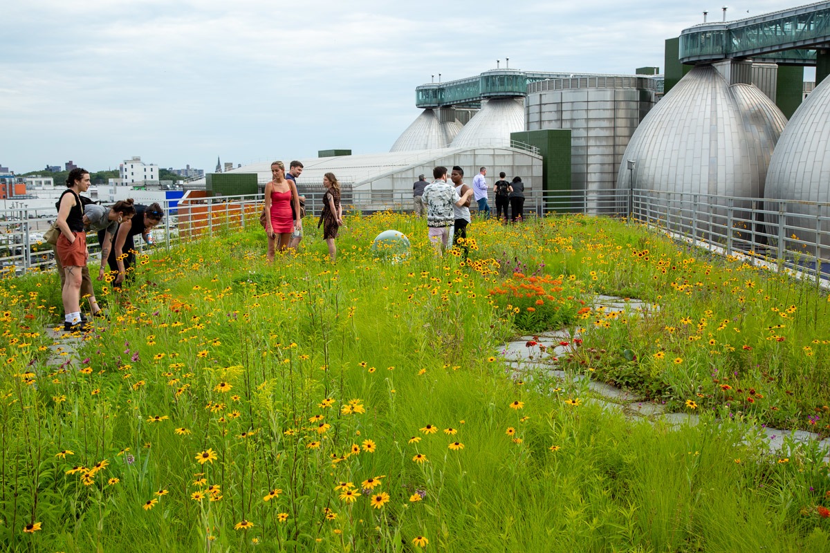 Leading Urban Environmentalists Gathered in Bushwick to Discuss Green Roofs and City Sustainability