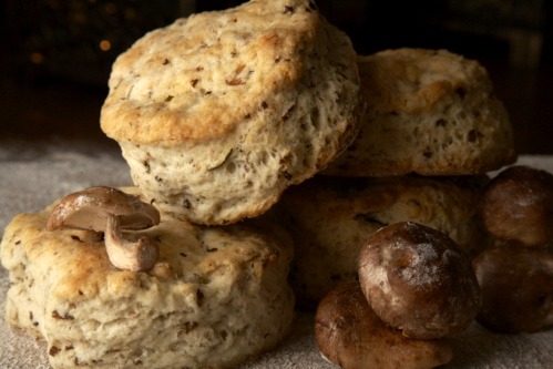 Bye, Bye Biscuits: Brooklyn Biscuit Company on Pause After Pilotworks Shutdown