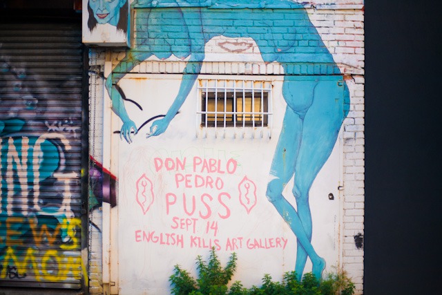 All That Puss: Don Pablo Pedro at English Kills Gallery