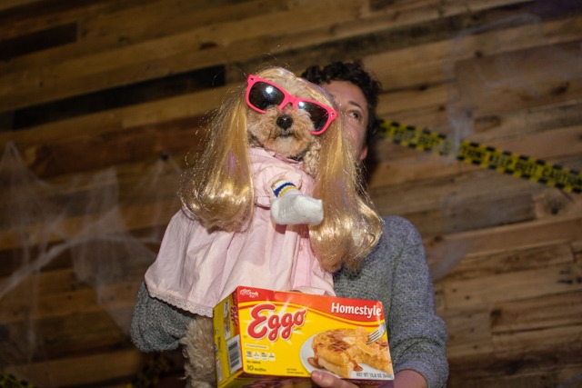 Photos: Behold the Costumed Canine Cuties of Bushwick Bark’s Annual Halloween Party!