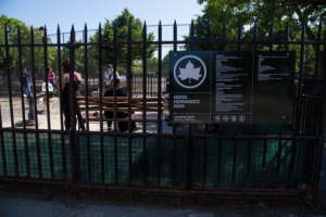 Bushwick Votes To Upgrade A Dog Park and Extend Some Curbs